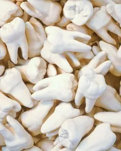 Miscellaneous human teeth in a pile